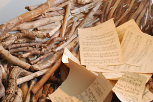 I fly: here over the water-there under the trees…