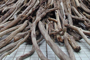 Jigami Sound of Vitality