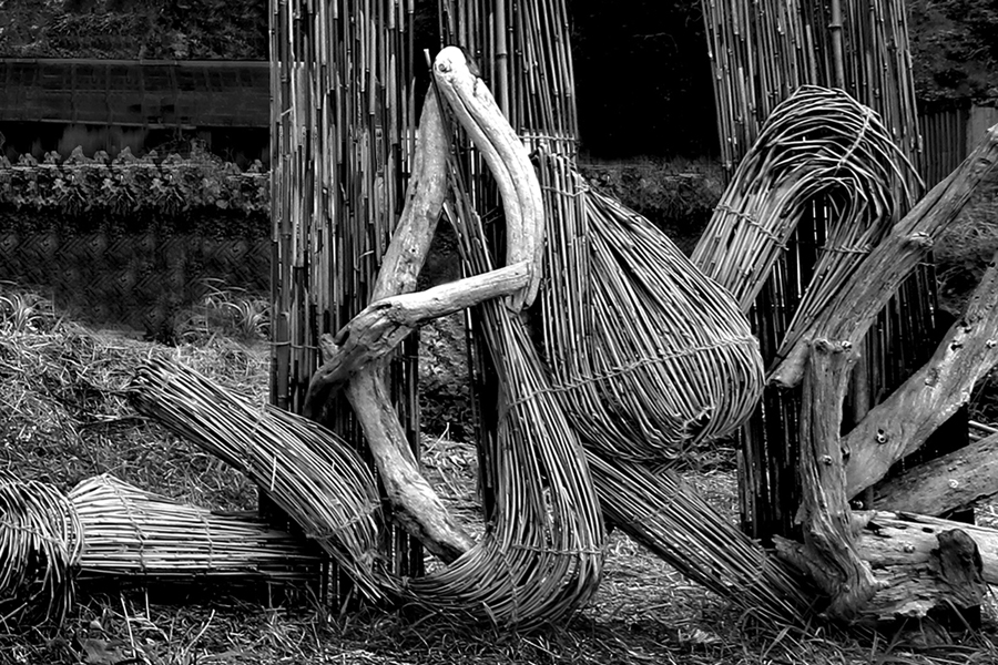 Living in between the Mountains and the Sea